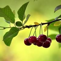 wechat下载app 我电脑的逆战游戏刚刚更新!为何进入游戏就没有声音呢?看视频听
