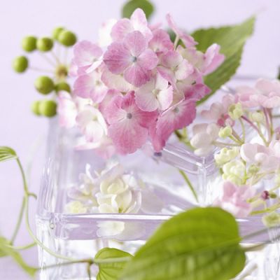 <a href=https://www.yio104.com/tags/WhatsAppkehuduan/ target=_blank class=infotextkey>WhatsApp客户端</a> 电脑开机时显卡震动大运行一会就发热