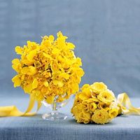 telegeram短信验证收不到 这个带固态吗?为何鲁大师才跑160000如果买个固态,怎么配