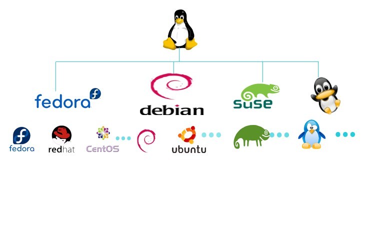whatsapp官方短信号码 谁能推荐一个初学者用来学习的linux系统版本吗