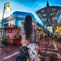 whatsapp网页版电脑 为何我的显卡更新完radeon后是这个样子