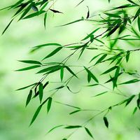 what's app官网下载 魔域中的战士怎么把技能从技能栏拉到F1~F8的快捷栏里啊? what's app官网下载 魔域中的战士怎么把技能从技能栏拉到F1~F8的快捷栏里啊?