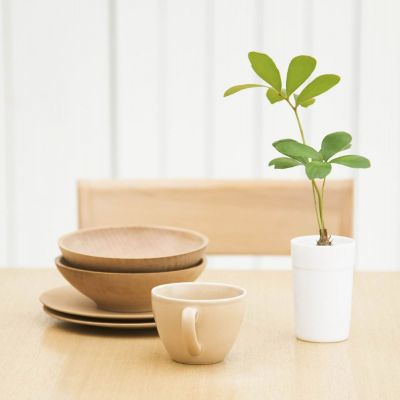 whatsapp网页版用户分布 为何用hdmi玩游戏黑屏,用dsub能玩?是不是跟显卡有关, whatsapp网页版用户分布 为何用hdmi玩游戏黑屏,用dsub能玩?是不是跟显卡有关,