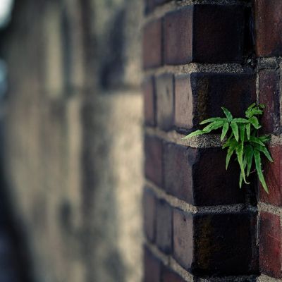 whats app下载最新版 看看我的这个,能再加个1G或512的存储空间吗?随便加可以吗 whats app下载最新版 看看我的这个,能再加个1G或512的存储空间吗?随便加可以吗