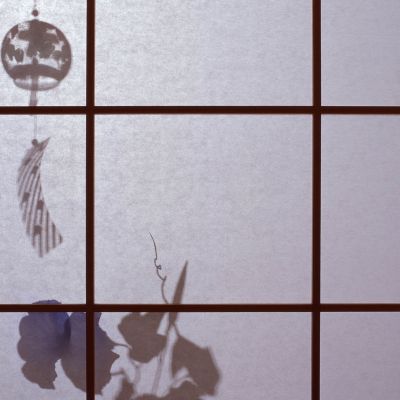 为什么whatsapp总是收不到验证码 whatsapp网页版手机扫描网址 
