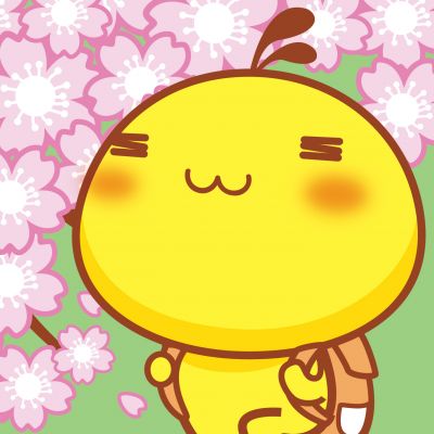 whatsapp app翻译 whatsapp视频会议 